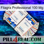 Filagra Professional 100Mg kamagra1